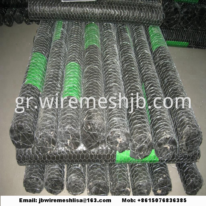 Galvanized Hexagonal Wire Netting